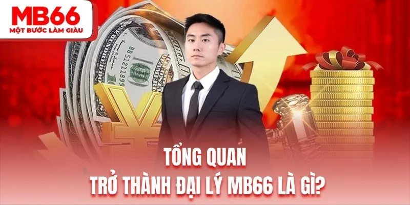 Giới thiệu chính sách đại lý MB66
